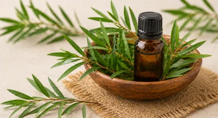 Mycotraxin tea tree oil extract